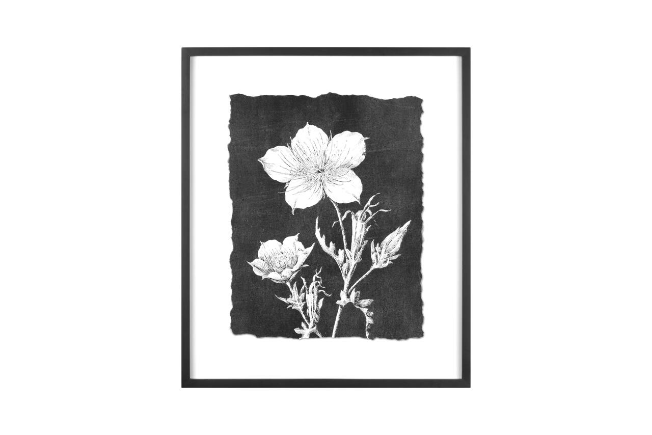Hello Honey® Black and White Botanical Print Wall Décor with Glass and Wood Frame Set